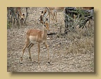 IMG_0329