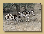 IMG_0338