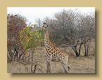 IMG_0358