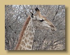 IMG_0360