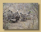 IMG_0432