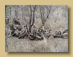 IMG_0437