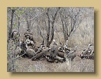 IMG_0438