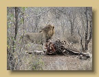 IMG_0443