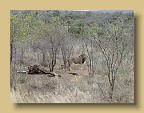 IMG_0449