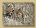 IMG_0481