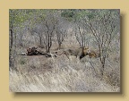 IMG_0486