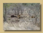 IMG_0487