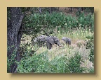 IMG_0598