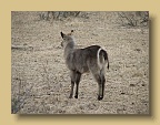IMG_0644