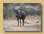 IMG_0659