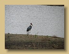 IMG_0664