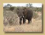IMG_0705