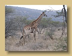 IMG_0831