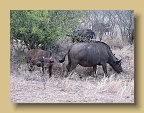 IMG_0886