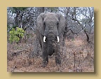 IMG_0962