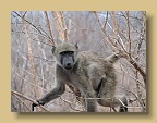 IMG_1040