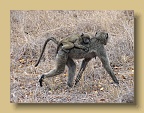 IMG_1043
