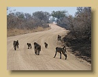 IMG_1044