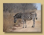 IMG_1057