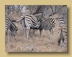 IMG_1061