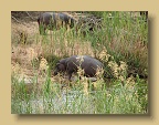 IMG_1079