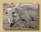 IMG_1164