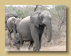 IMG_1194