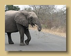 IMG_1212