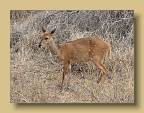 IMG_1249