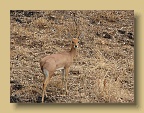 IMG_1255