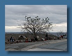 IMG_0283