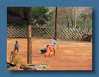 IMG_1358