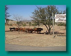 IMG_0098