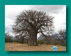 IMG_0288