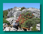 IMG_2207