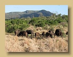 IMG_1478