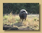 IMG_1479