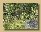 IMG_1495