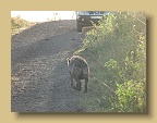 IMG_1564