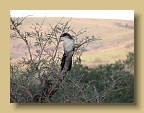 IMG_1587