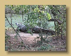 IMG_1592