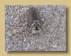 IMG_2075