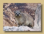IMG_2084