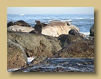 IMG_2229