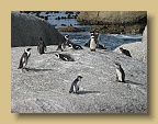 IMG_2277