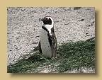 IMG_2282