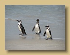 IMG_2289
