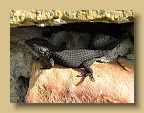 IMG_2323