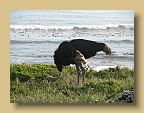 IMG_2329